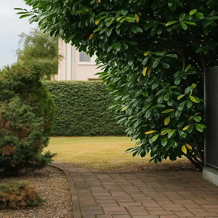 Naehe Frankfurt Fuer Monteure-gruppen Bis 10 Personen Hébergement de vacances